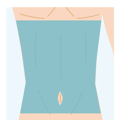 腹部