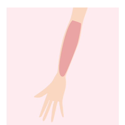 前腕