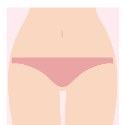 Ｖ全体